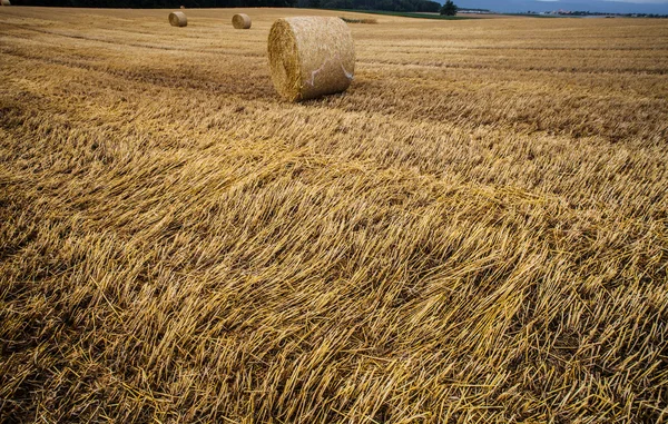 Бейл пшениця і грозових хмар — стокове фото