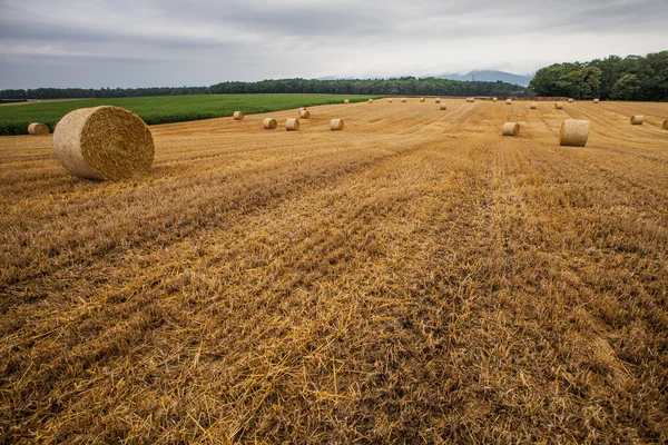 Бейл пшениця і грозових хмар — стокове фото