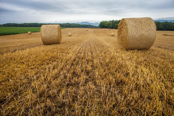 Wheat Bale and Storm Clouds — Stock Photo, Image