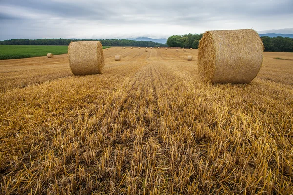 Balla di grano e nuvole di tempesta — Foto Stock