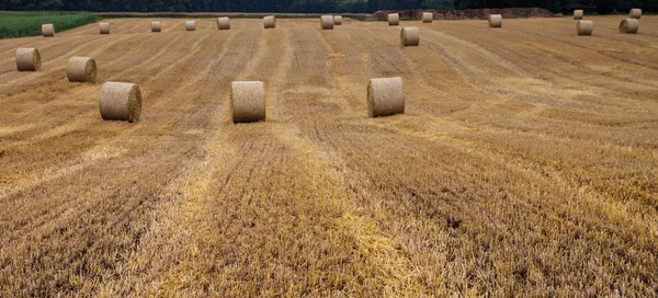 Wheat Bale and Storm Clouds — Stock Photo, Image