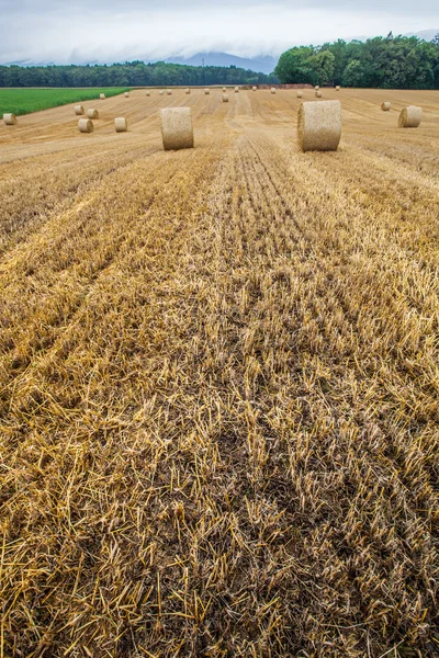 Balla di grano e nuvole di tempesta — Foto Stock