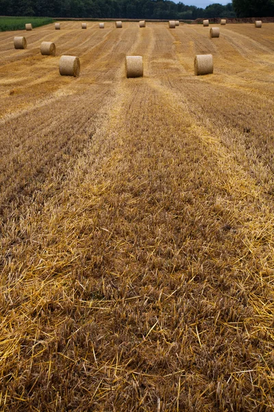 Wheat Bale and Storm Clouds — Stock Photo, Image