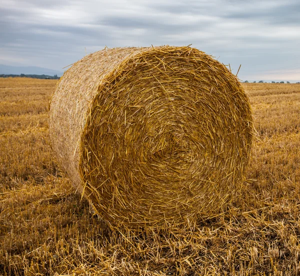 Weizenballen und Gewitterwolken — Stockfoto