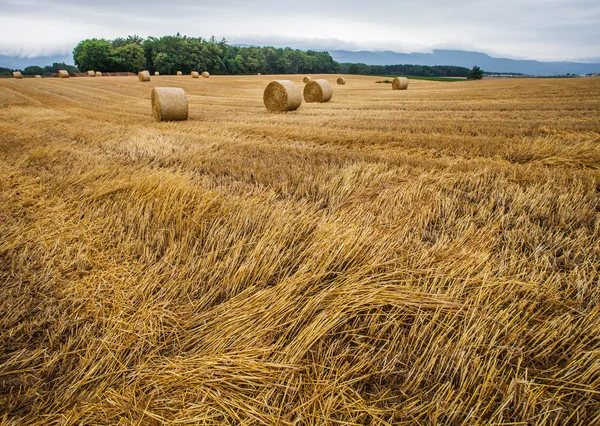 Tarwe bale en storm wolken — Stockfoto