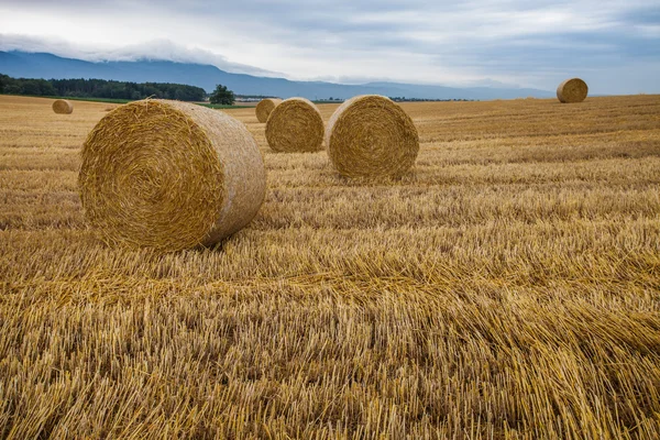 Wheat Bale and Storm Clouds — Stock Photo, Image