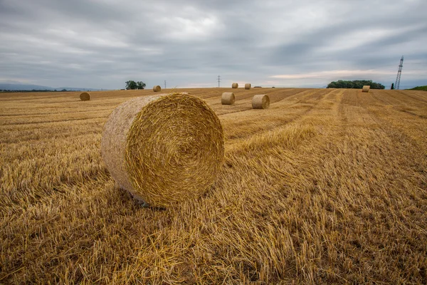 Weizenballen und Gewitterwolken — Stockfoto