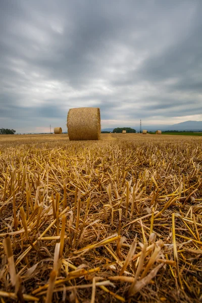 Pšenice bale a bouřkové mraky — Stock fotografie