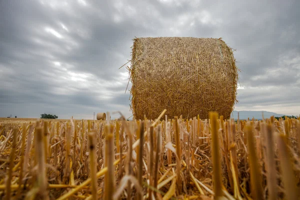 Buğday bale ve fırtına bulutları — Stok fotoğraf