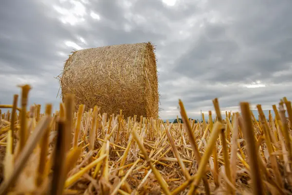 Bale de trigo y nubes de tormenta —  Fotos de Stock