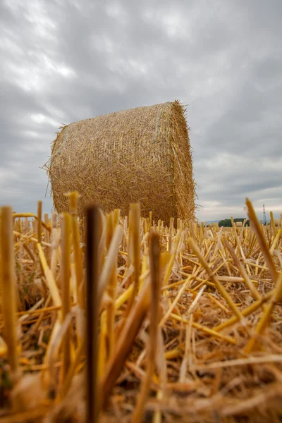 Wheat Bale and Storm Clouds — Stock Photo, Image