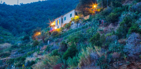 Vernazza Buildings Cinque Terre, Italy — Stock Photo, Image