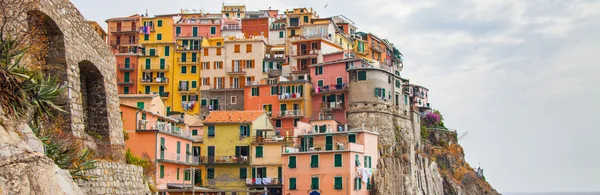 Manarola, cinque terre, feld y — стоковое фото