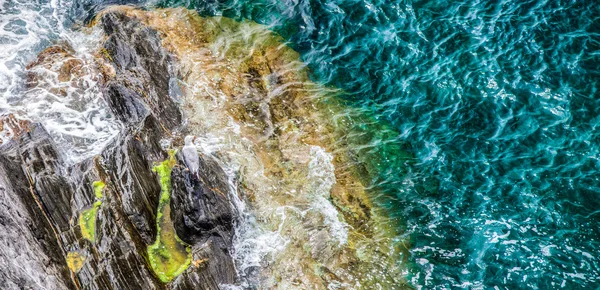 Falaise et mer Résumé — Photo