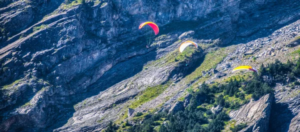 Paraglider — Stock Photo, Image