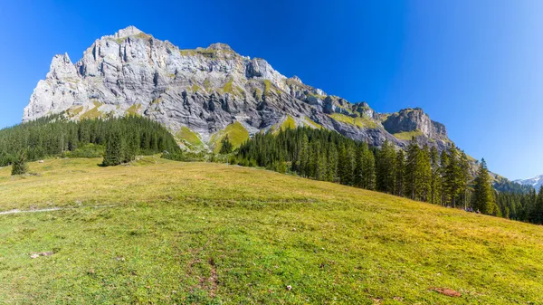 Berner Alpen — Stockfoto