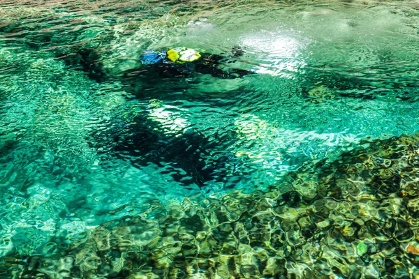 River Scuba Diving — Stock Photo, Image