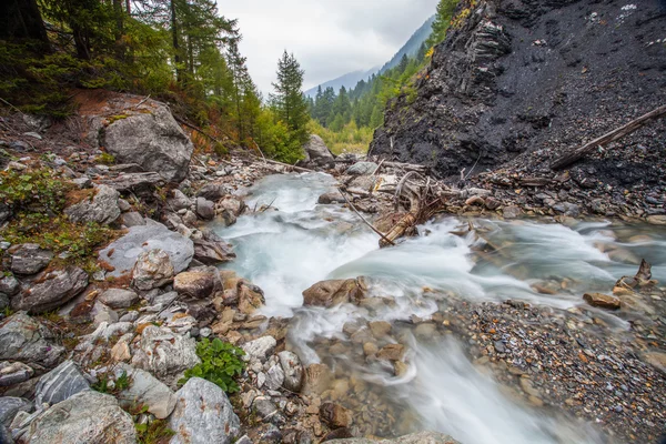 Alp Nehri — Stok fotoğraf