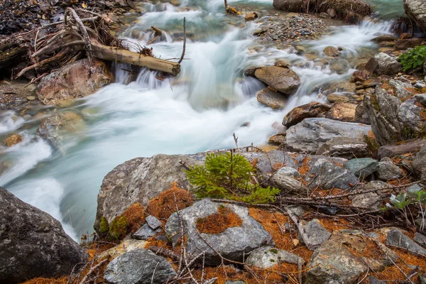 Alpine rivier — Stockfoto