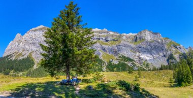 Bernese Alps