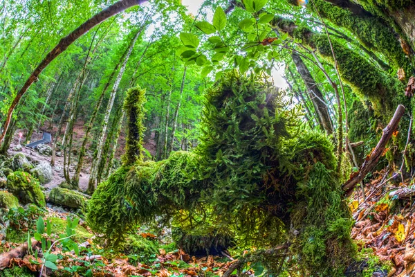 Jura rivierlandschap, Frankrijk — Stockfoto