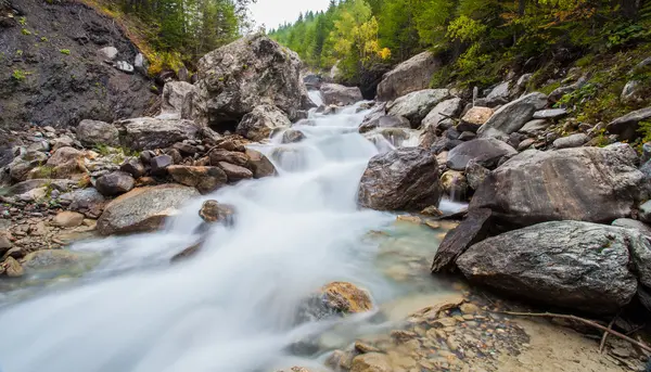 Val Veny, Italy - Alpine Stream — Stock Photo, Image