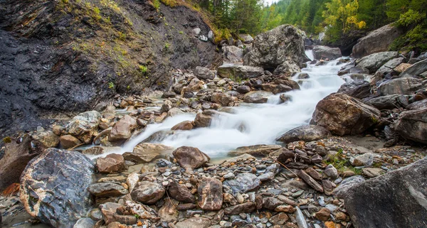 Val Veny, Italy - Alpine Stream — Stock Photo, Image