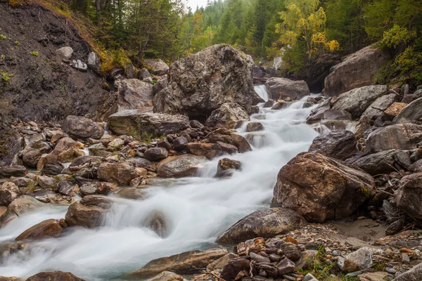 Val Veny, Italy - Alpine Stream — Stock Photo, Image