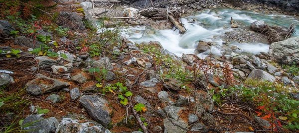 Val veny, Italië - alpine stream — Stockfoto