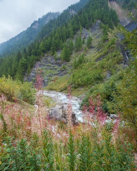 Val Veny, Italia - principios de otoño —  Fotos de Stock