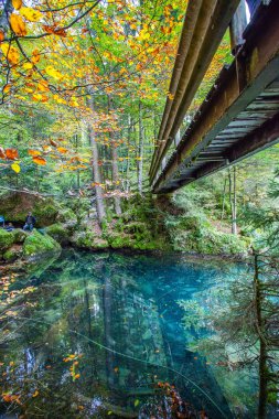 blausee, İsviçre - kırmızı tekne ve sonbahar yaprakları