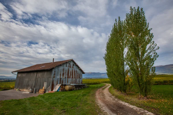 Landbouw schuur — Stockfoto