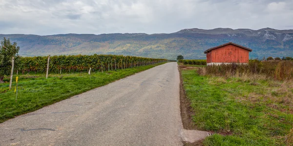 Agriculture Barn — Stock Photo, Image