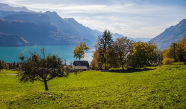 Göl brienz, İsviçre