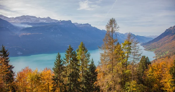 Bernské Alpy a jezera brienz — Stock fotografie