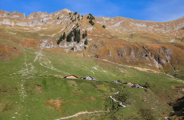 Berner Alpen — Stockfoto