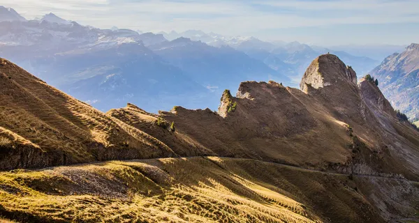 Bernalperna — Stockfoto