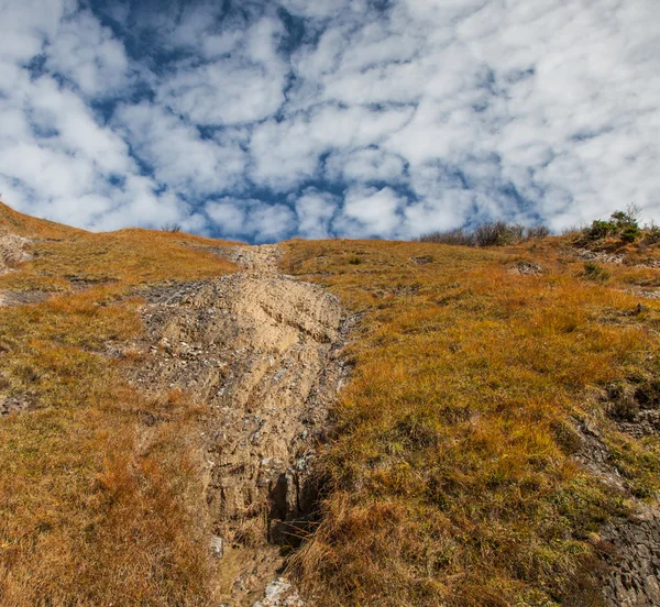 Alpine gras abstract — Stockfoto