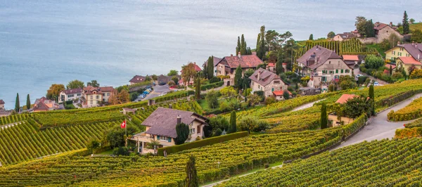 Lavaux, Suíça - Terraços da vinha — Fotografia de Stock