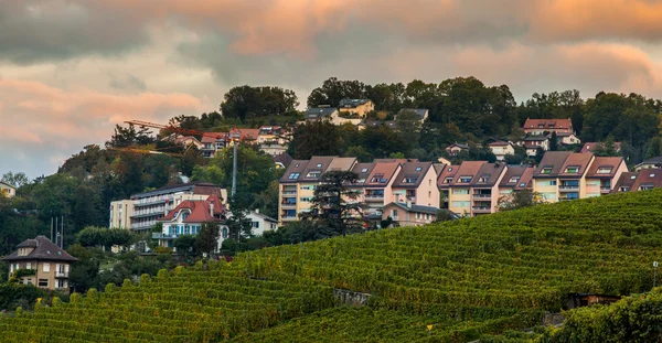 Lavaux, Švýcarsko - Viniční terasy — Stock fotografie