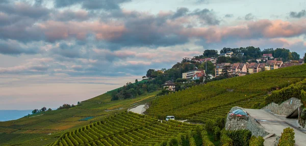 Lavaux, Zwitserland - wijngaard terrassen — Stockfoto