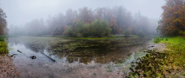 霧深い池όμορφος έφηβος αγόρι — ストック写真