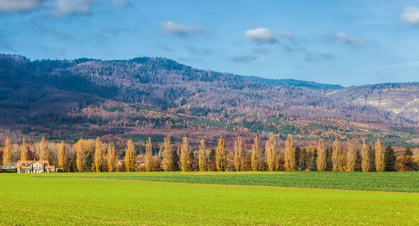 Zona rural de Ginebra — Foto de Stock