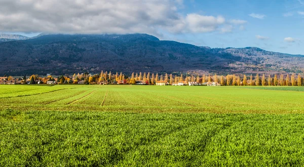 Campo de Genebra — Fotografia de Stock