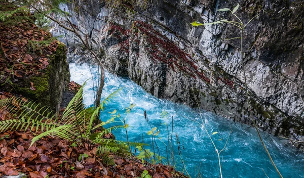 Cordillera río —  Fotos de Stock