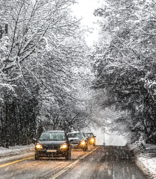 ジュネーブ、スイス連邦共和国を雪します。 — ストック写真