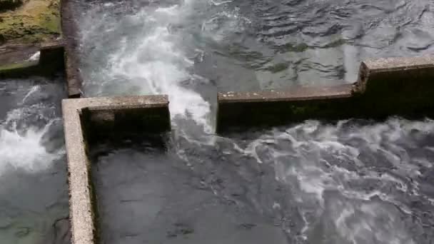 Водный поток — стоковое видео