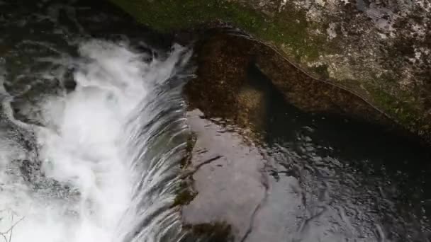 Corriente de agua — Vídeos de Stock