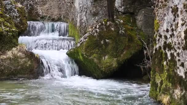 Cours d'eau