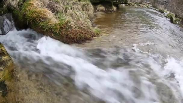 Водный поток — стоковое видео